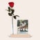 Infinity roos met foto standaard Infinity roos met foto standaard