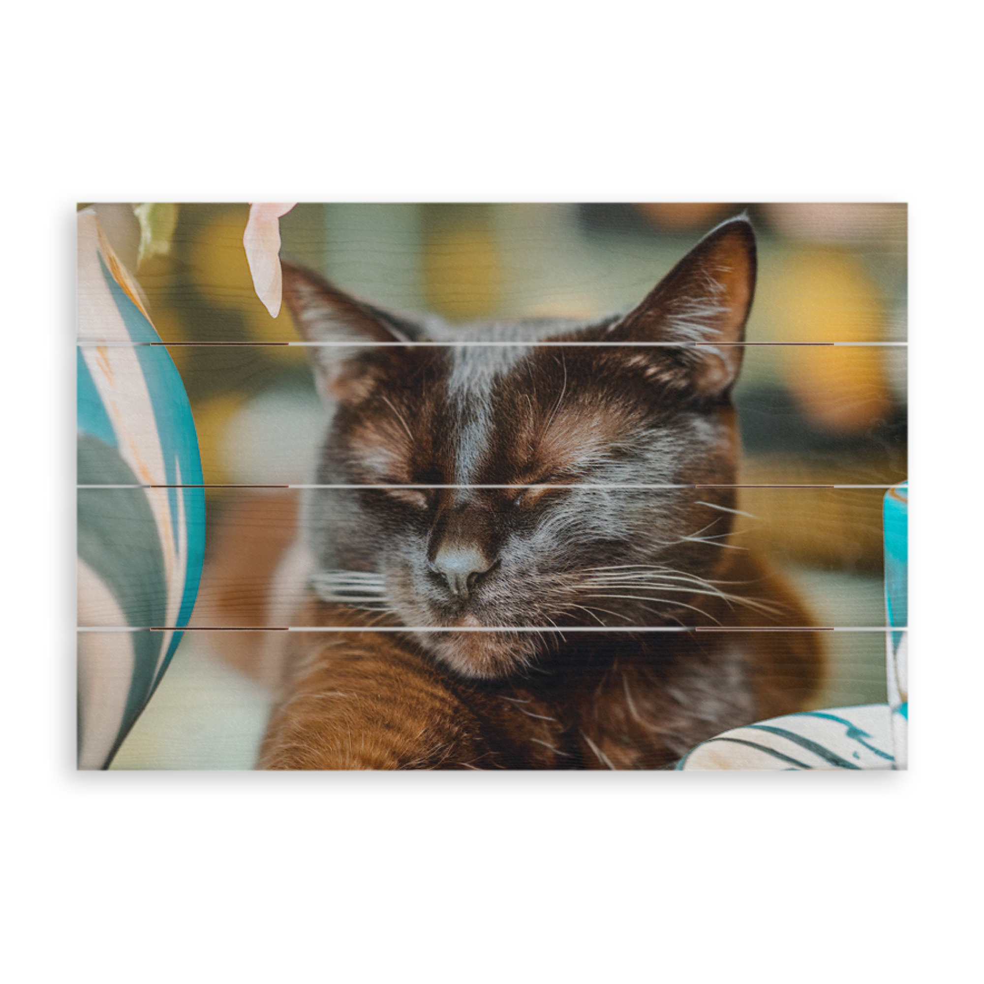 Ein Foto von einem schlafenden schwarzen Katze gedruckt auf Holz, ein personalisiertes Dein Foto auf Holz Geschenk.