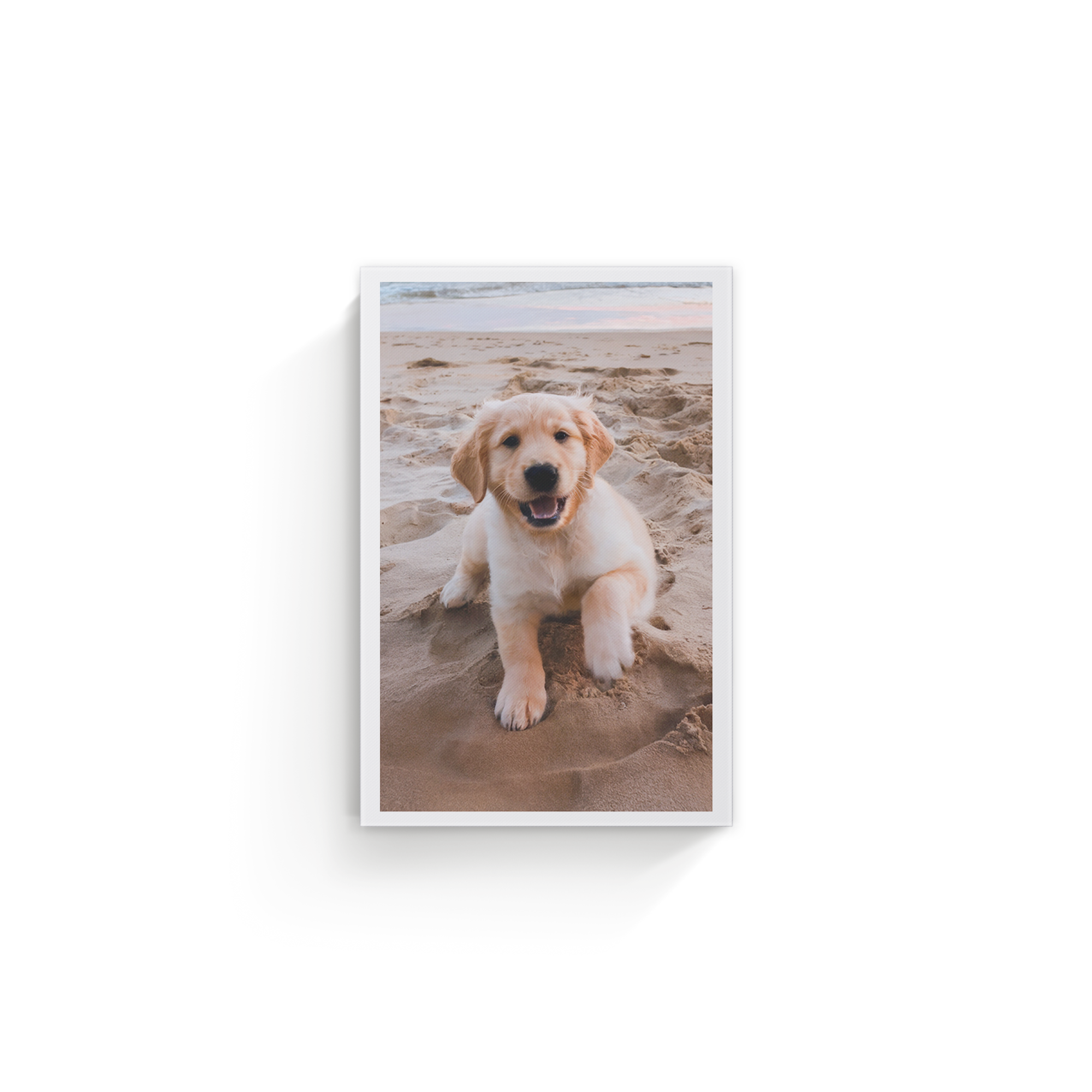 Toile personnalisée imprimée avec la photo d'un chiot Golden Retriever sur la plage