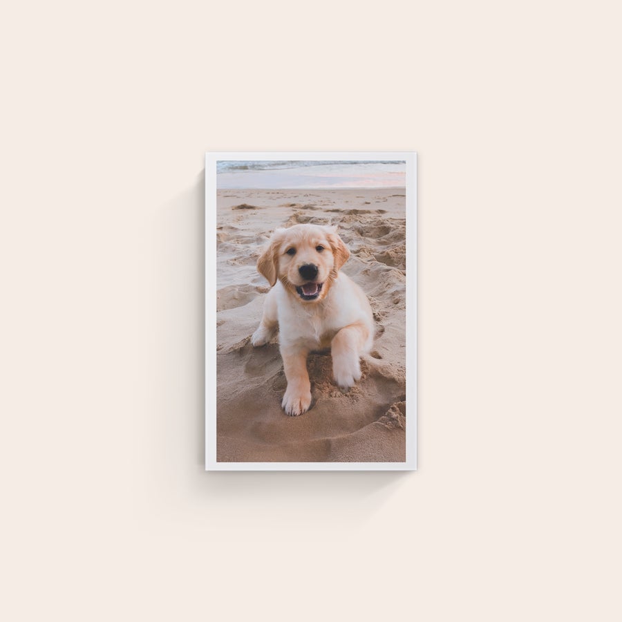 Stampa su Tela Personalizzata Stampa su tela verticale con foto di un golden retriever cucciolo sdraiato sulla sabbia in spiaggia