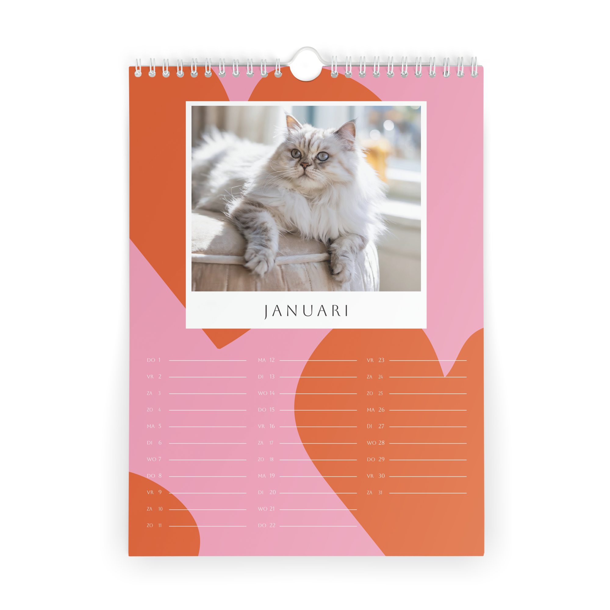 Gepersonaliseerde jaarkalender 2026 met foto van een kat voor januari, bedrukt met eigen foto's.