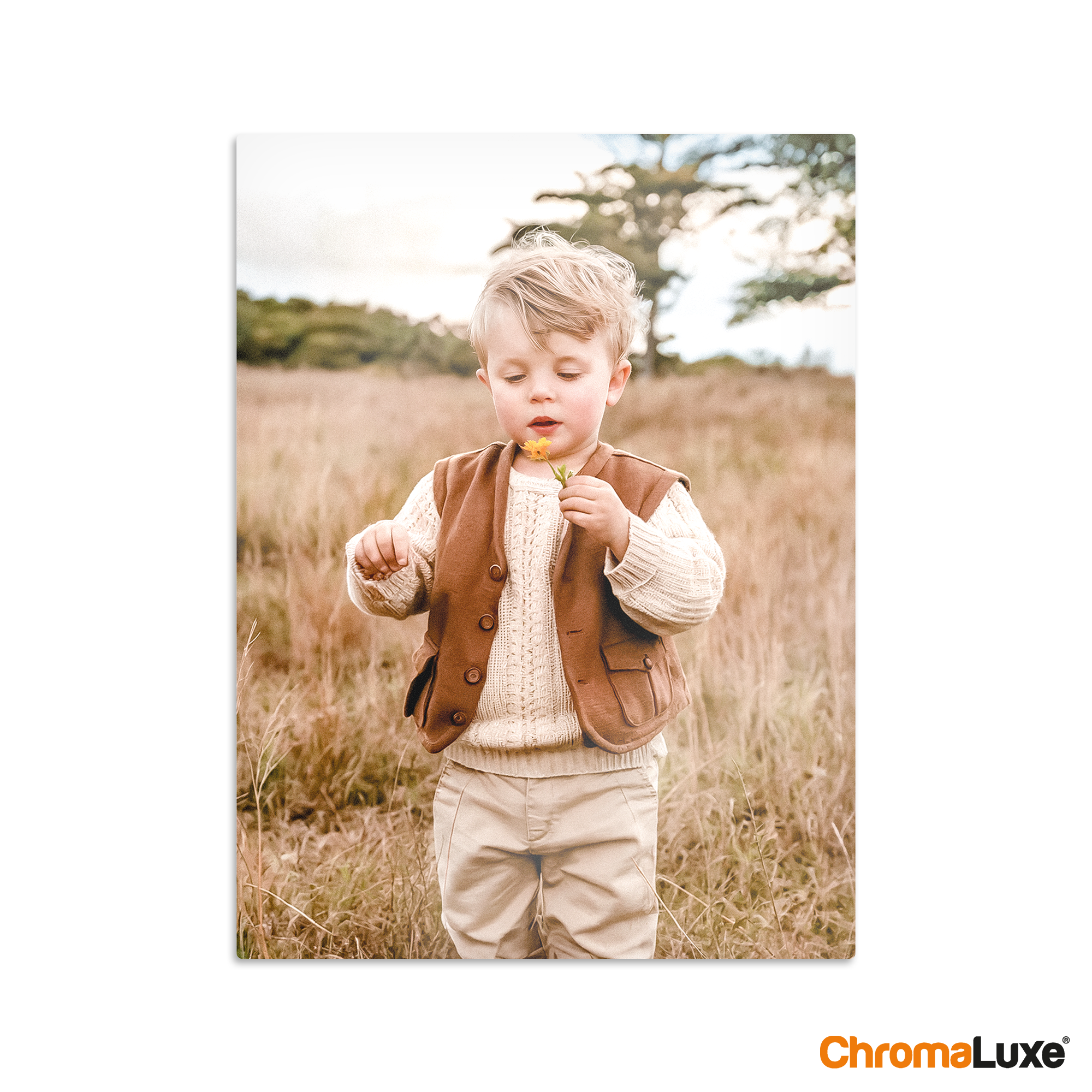 Instacollage aluminium personnalisé avec la photo dun enfant blond tenant une fleur dans un champ