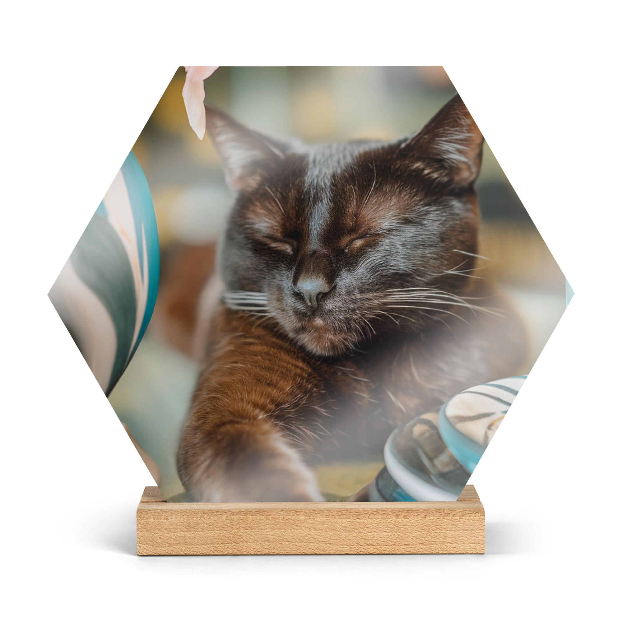 Mosaico de fotos hexagonal con la imagen impresa de un gato negro dormido, sobre una base de madera