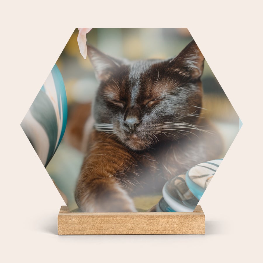 Panel de madera con foto Mosaico de fotos hexagonal con la imagen impresa de un gato negro dormido, sobre una base de madera