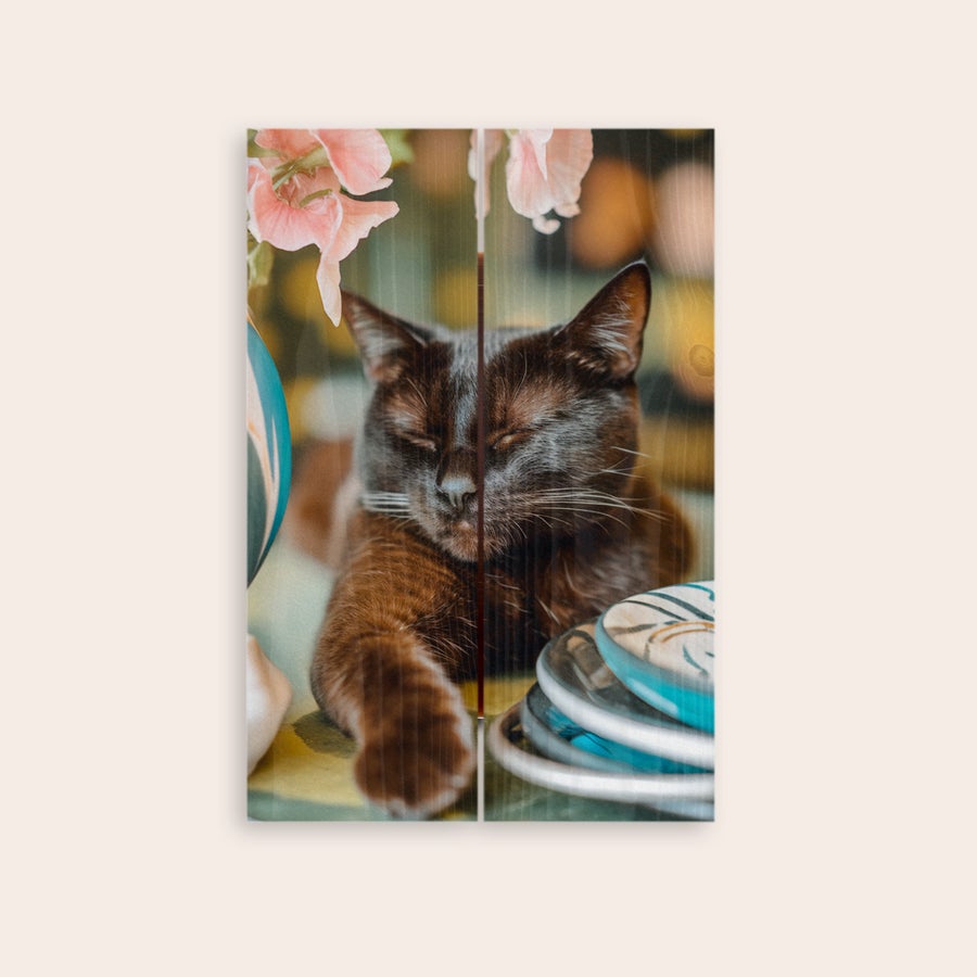 Photo on wood A sleeping black cat with pink flowers in the background, custom photo printed onto whitewashed wooden planks.