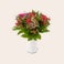 Paarse bloemen boeket Paarse bloemen boeket