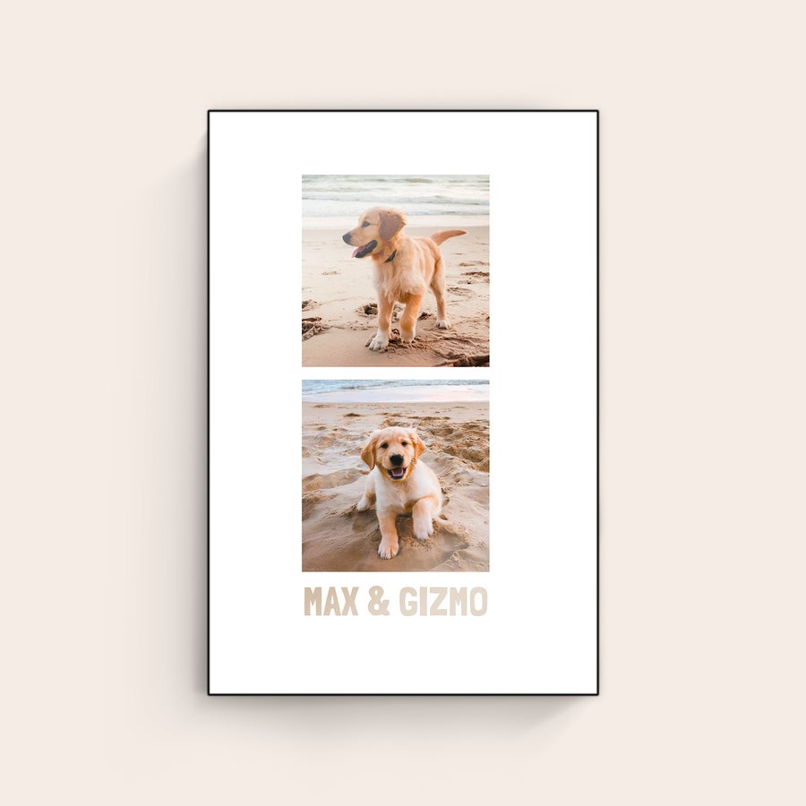 Foto na drevo ChromaLuxe drevený fotografický panel s potlačou dvoch fotiek šteniatok a menami Max & Gizmo