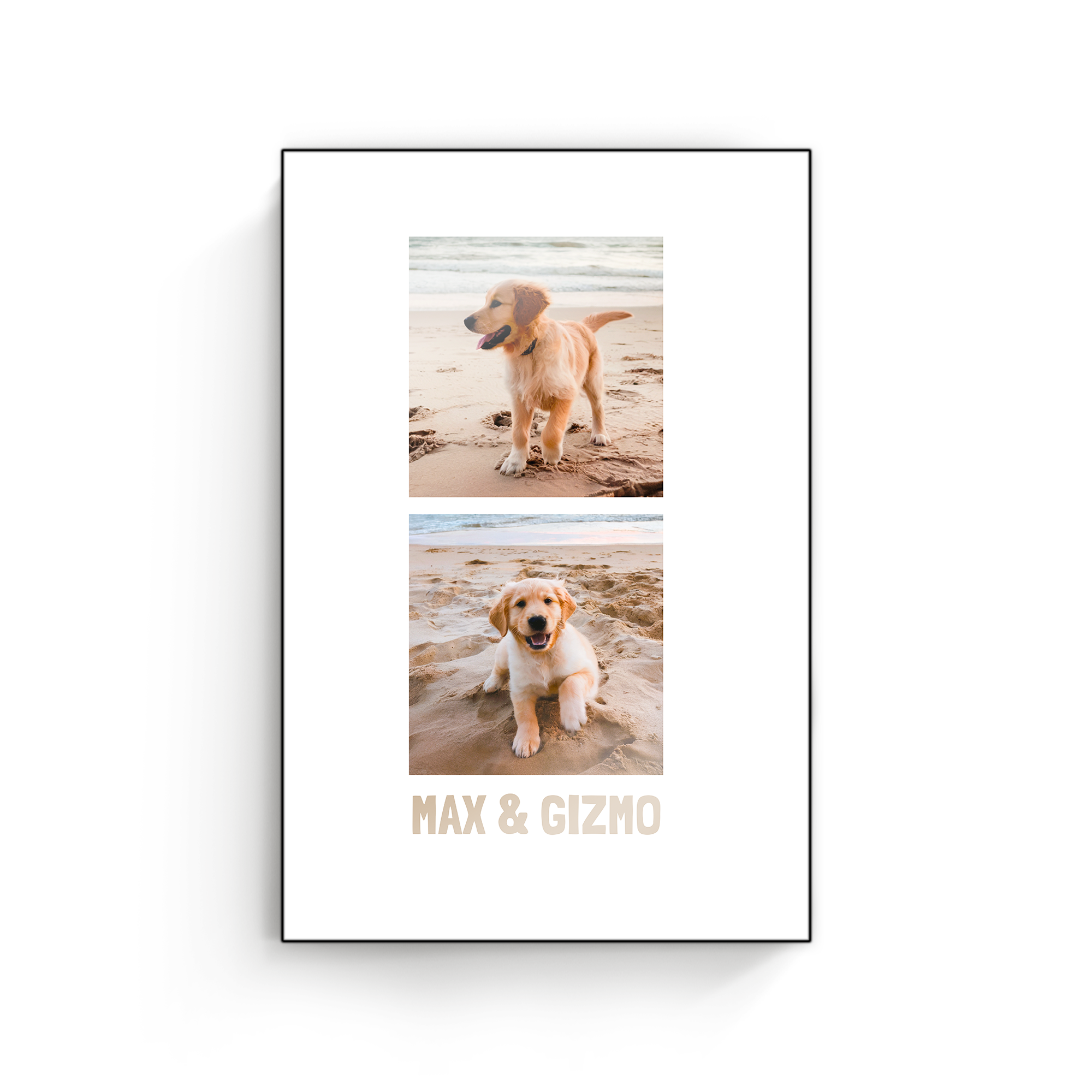 ChromaLuxe träfotopanel med två foton av golden retriever-valpar på stranden, anpassad med namnen MAX & GIZMO.