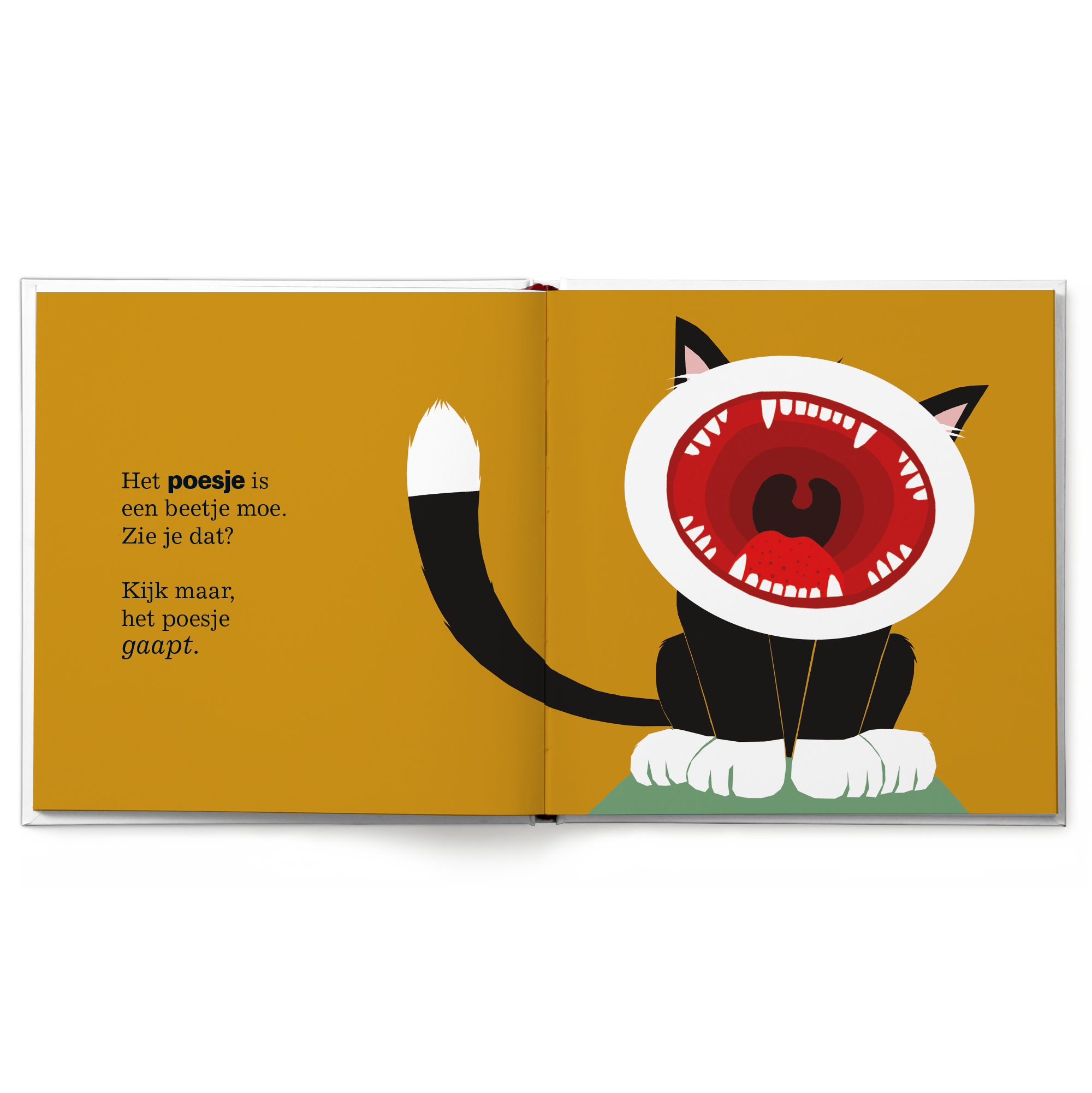 Boek Iedereen gaapt - XXL personaliseren met een naam in het verhaal en voorin op maat gemaakt