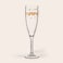 Champagneglas bedrukken - Kunststof - Mydrinkglass Champagneglas bedrukken - Kunststof - Mydrinkglass