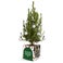 Mini vianočný stromček v personalizovanom kvetináči