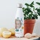 Personalised insulated water bottle