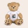 Personalised big teddy bear Personalised big teddy bear
