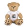 Personalised big teddy bear