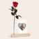 Infinity roos met foto standaard Infinity roos met foto standaard