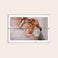 Photo sur bois Photo sur bois
