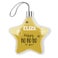 Christmas hanger - Star (2)