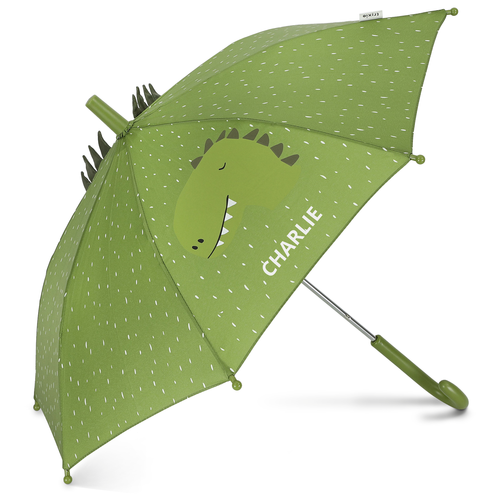 Grøn børneparaply med Hr. Dinosaurus-design, et påtrykt navn Charlie og spidser som hale. Hav det sjovt i regnen med denne personlige dyreparaply til børn.