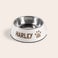 Dog feeding bowl Dog feeding bowl