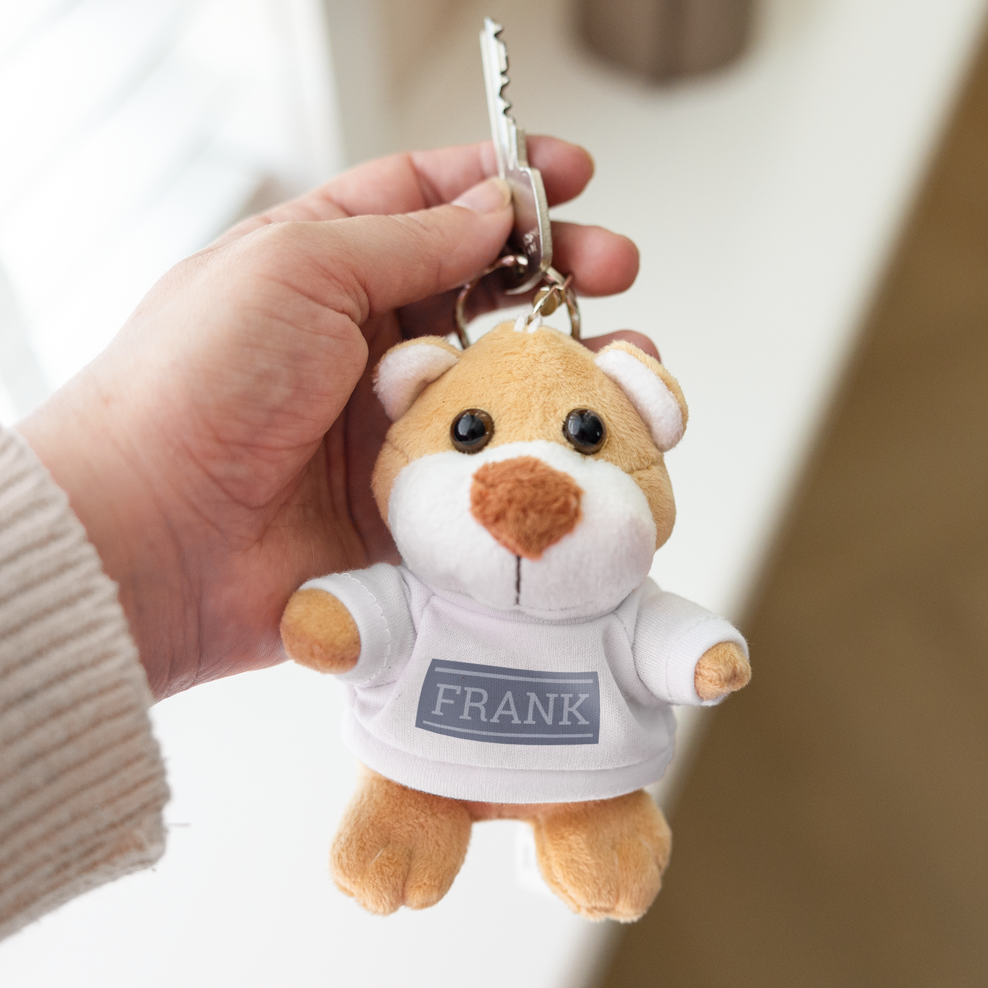 One Point Collections Teddy Bear Keyrings & Keychains (Set Of Three) (Color  and Design Depends on availability) : Amazon.in: Toys & Games