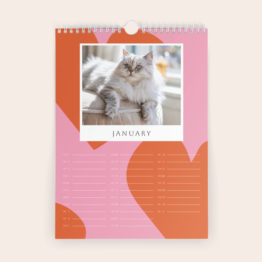Personlig fotokalender 2026 Personlig 2026-kalender med et bilde av en katt og Januar trykt på forside.