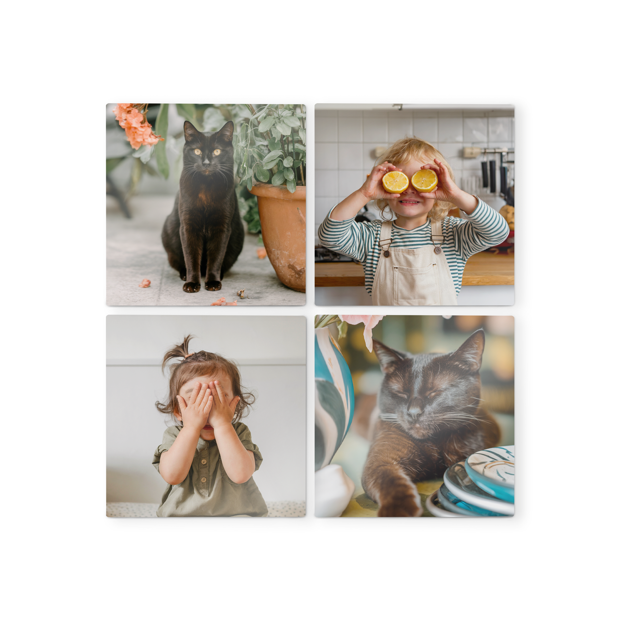 Wandbild aus Holz mit vier quadratischen Fotos: zwei Katzen und zwei spielende Kinder, Dekorieren Sie Ihre Wand mit Wandbildern aus Holz mit Ihrem Design