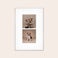 Photo on forex Photo on forex