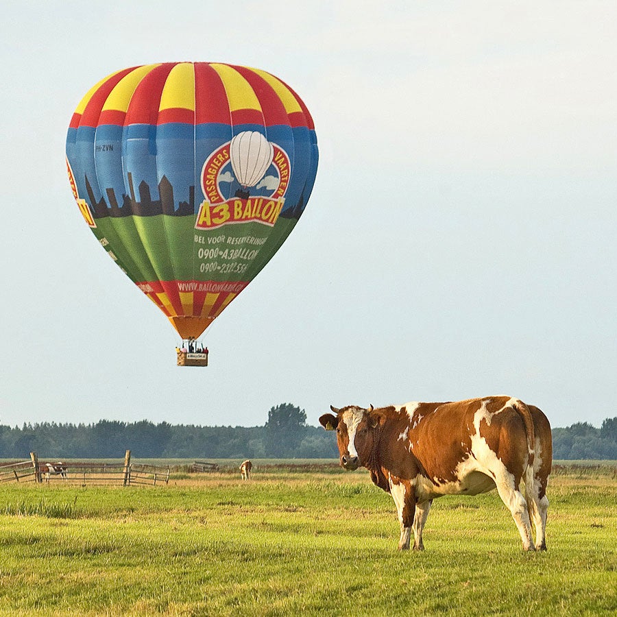 AVOND BALLONVAART een unieke ballonvaart belevenis als cadeau YourSurprise AVOND BALLONVAART een unieke ballonvaart belevenis als cadeau YourSurprise