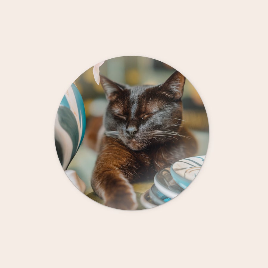Personlig väggkonstpanel Rund väggkonstpanel i trä med personligt tryckt foto av en sovande katt