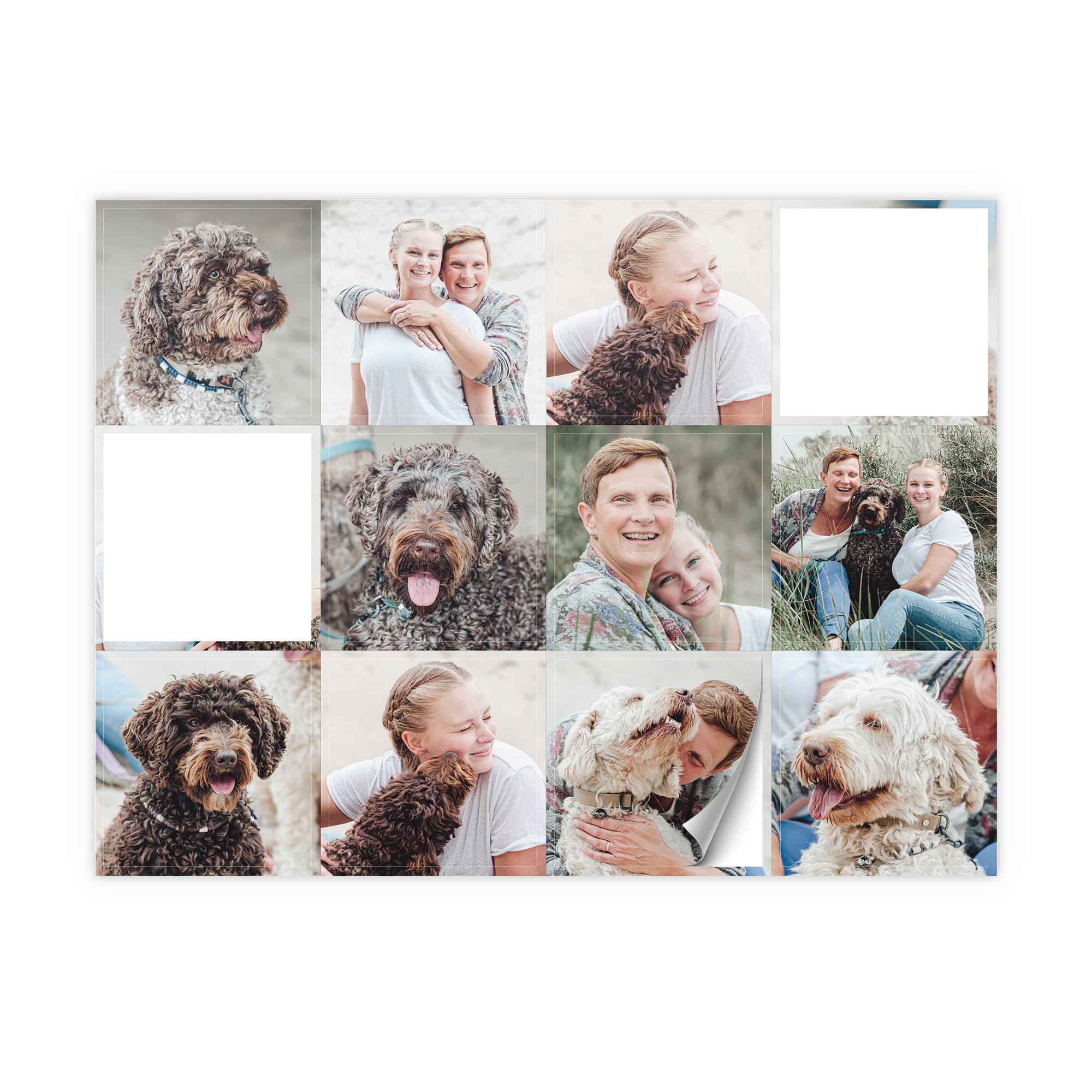 Adesivos personalizados impressos com várias fotos de pessoas e seus cães, ideal para surpreenda-os com autocolantes personalizados com o seu design!