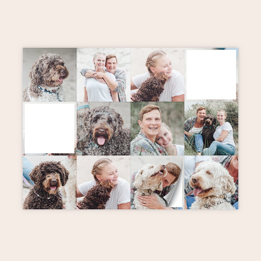 Klistermærker med print Personaliseret print af klistermærker med flere billeder af hunde og ejere, lavet med dit eget design.