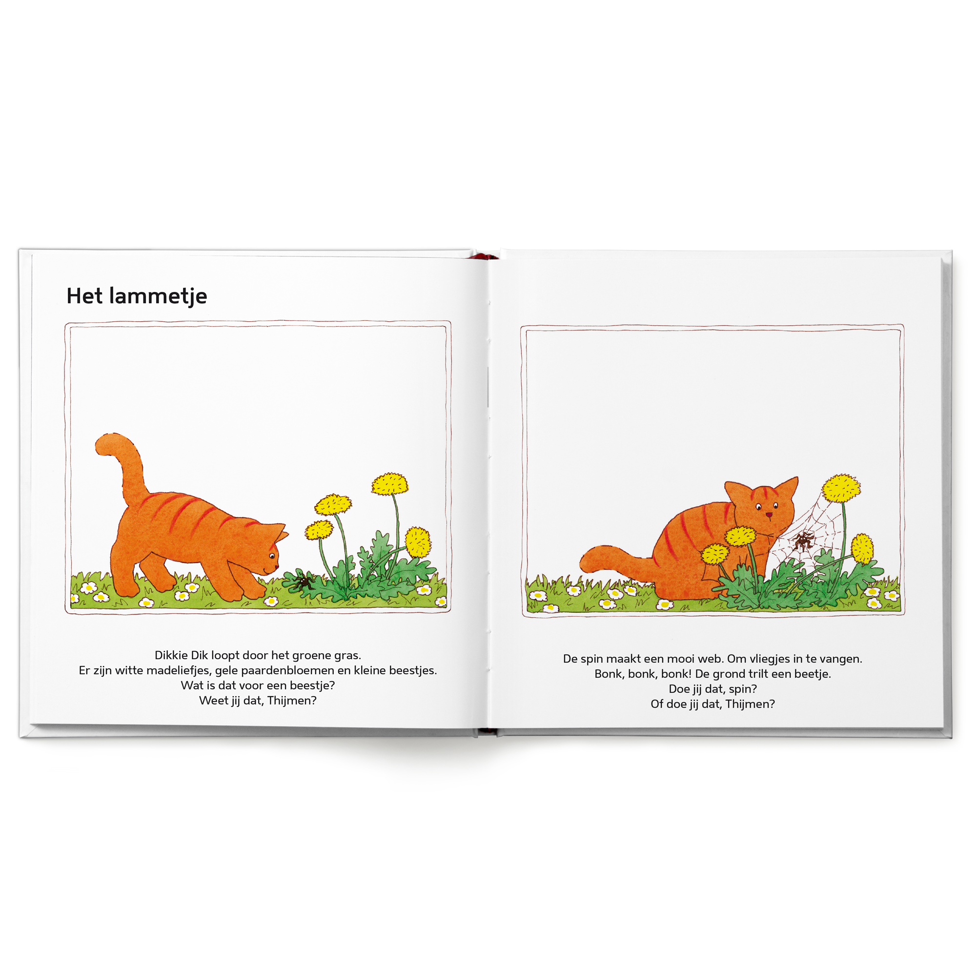 Persoonlijk Dikkie Dik lente kinderboek met de naam Thijmen in het verhaal.