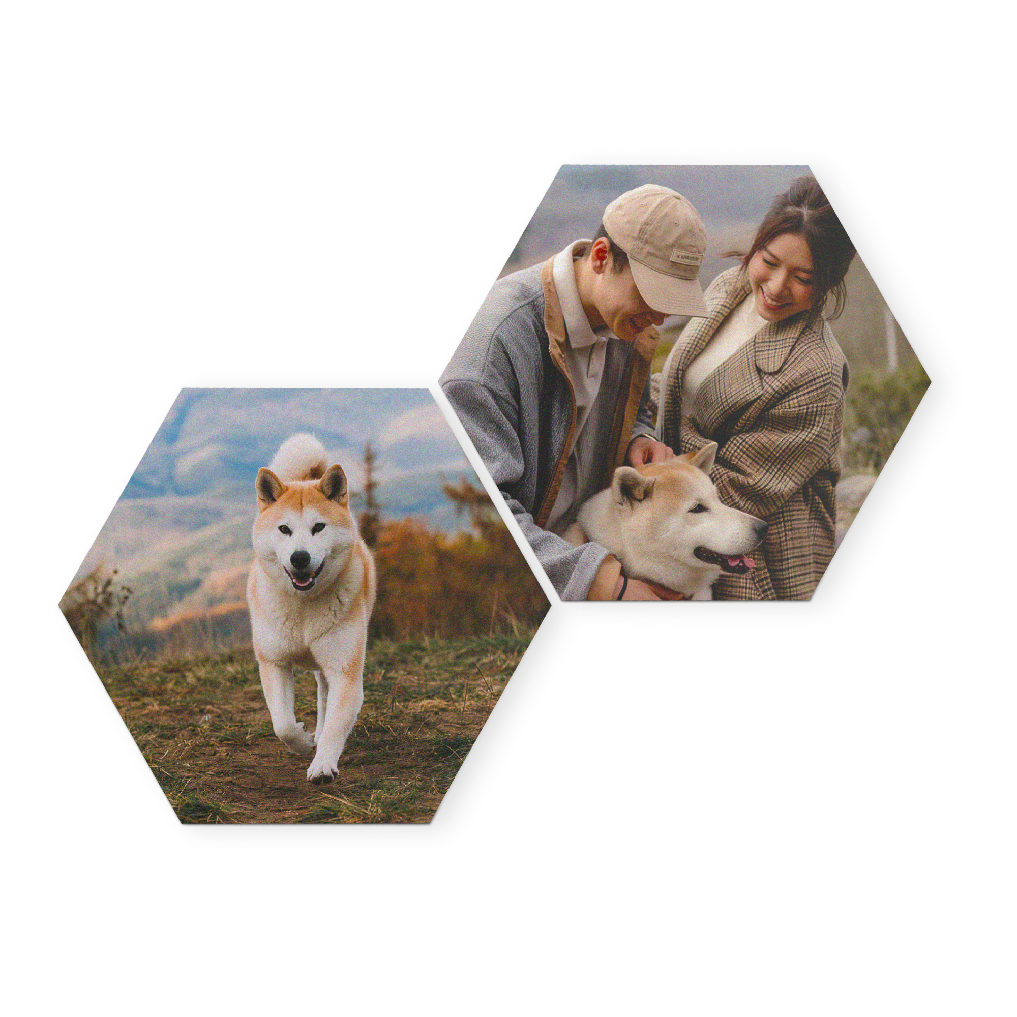 Panneau mural en forex personnalisé avec photo d'un chien et d'un couple, pour une touche personnelle à votre intérieur