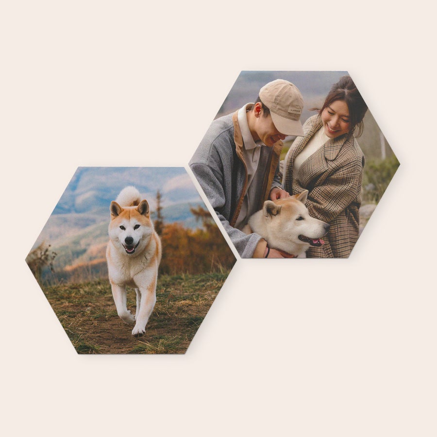 Personalised wall art panels Two hexagonal forex wall art panels printed with personalized designs, one of a dog running and one of a couple with a dog.