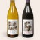 Personalised Wine Gift - Salentein Pinot Noir & Chardonnay Personalised Wine Gift - Salentein Pinot Noir & Chardonnay