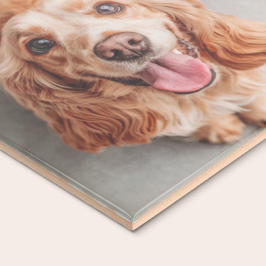 Telha Tradicional Azulejo pessoal com foto de um cão sorridente, impresso para personalização.