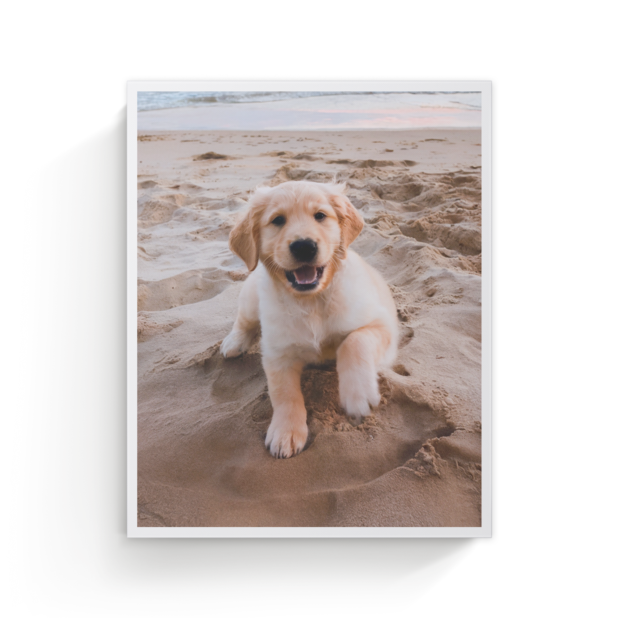 Toile personnalisée imprimée avec la photo dun chiot golden retriever sur une plage