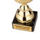 Trophy – Gold