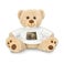 Personalised cuddly toy bear