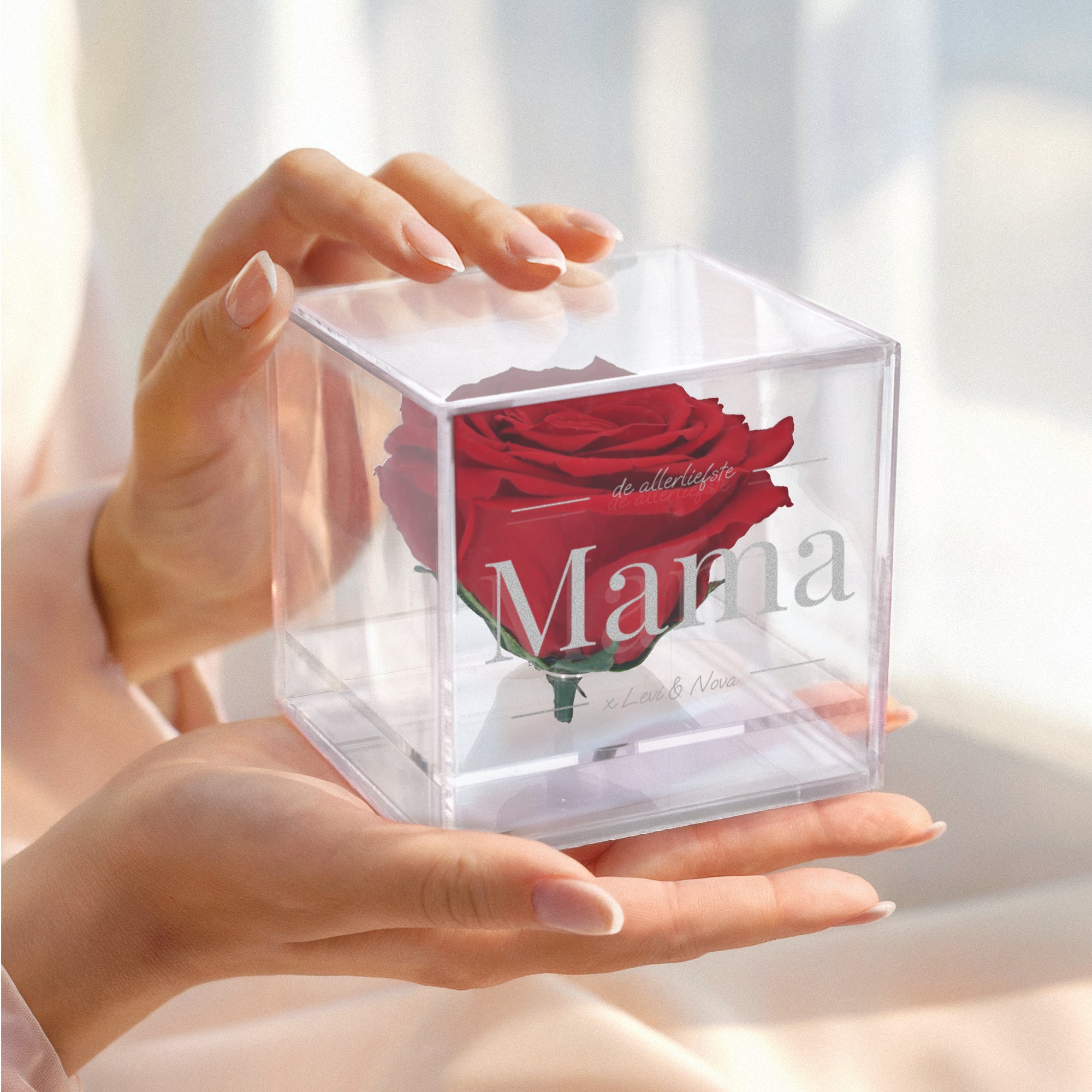 Preserved rose in glas