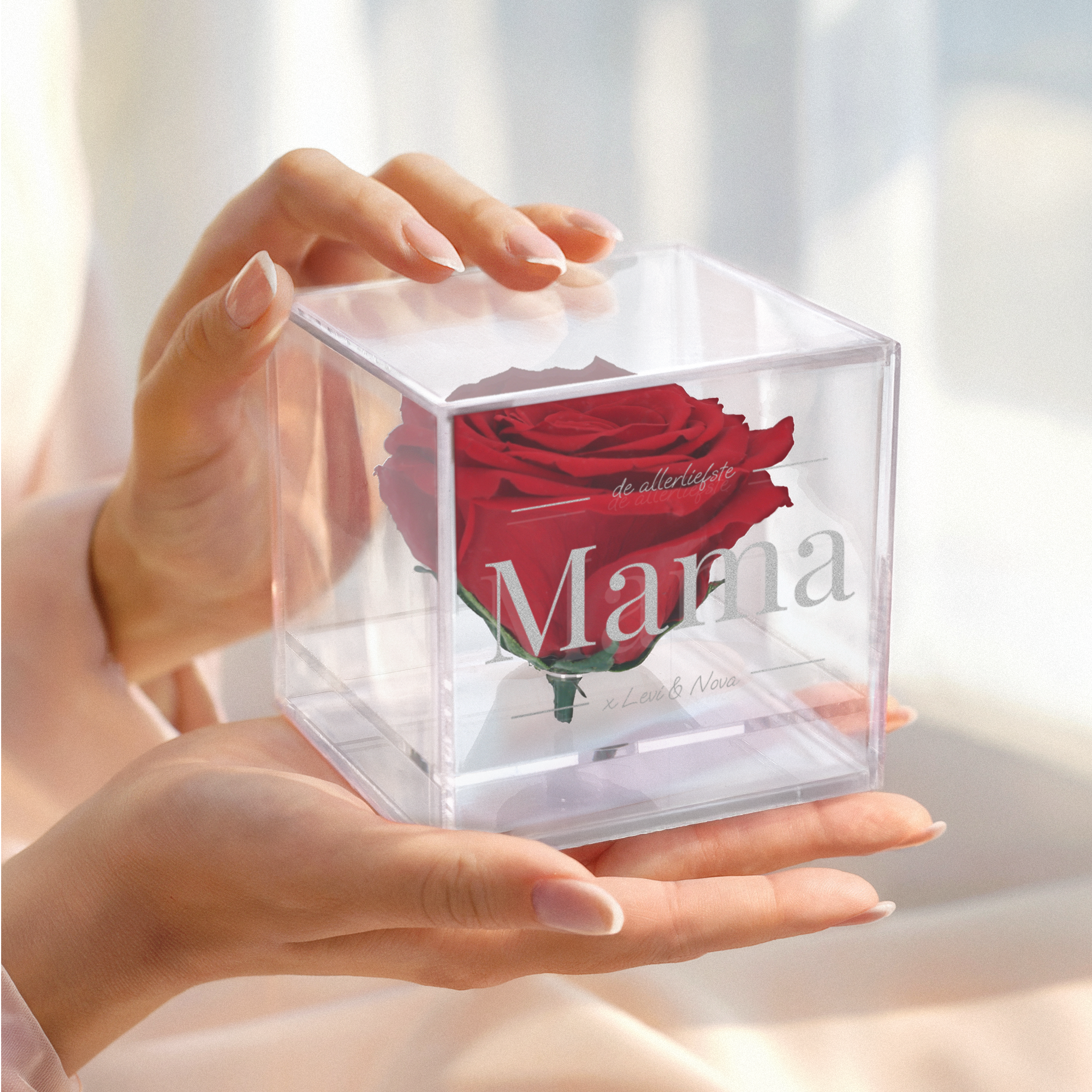 Preserved rose in glas (plexi)
