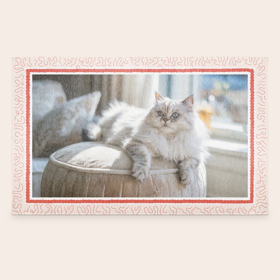 Tryckt matta Personlig matta med ett tryckt foto av en lurvig katt omgiven av en röd kant och vågigt mönster