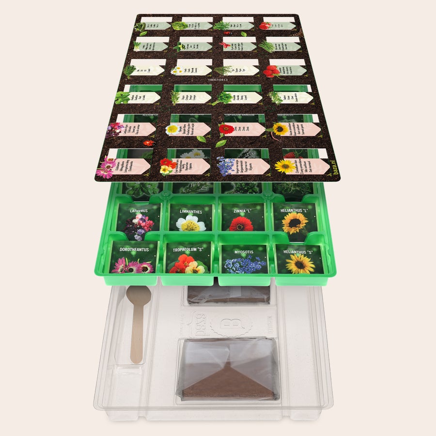 Personalised seeds advent calendar Personalised seeds advent calendar