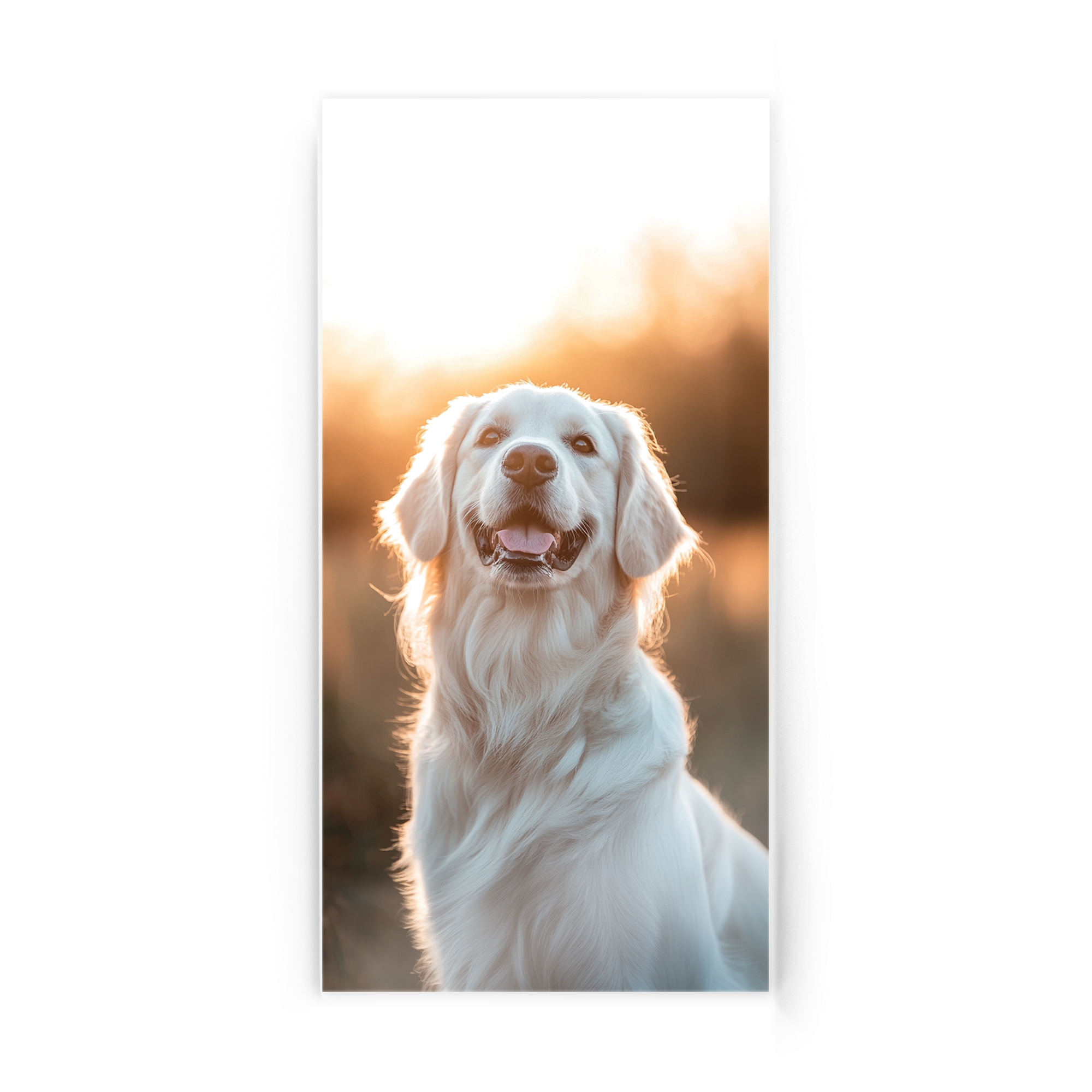 Fotografie pe acrilic