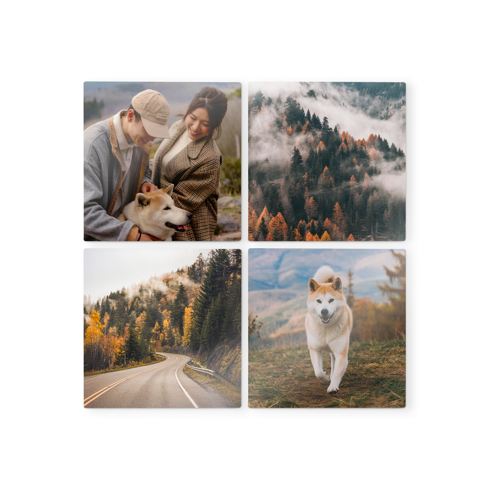 Fire treveggkunstpaneler med trykte bilder av par med hund, skog og vei for å dekorer veggen din.