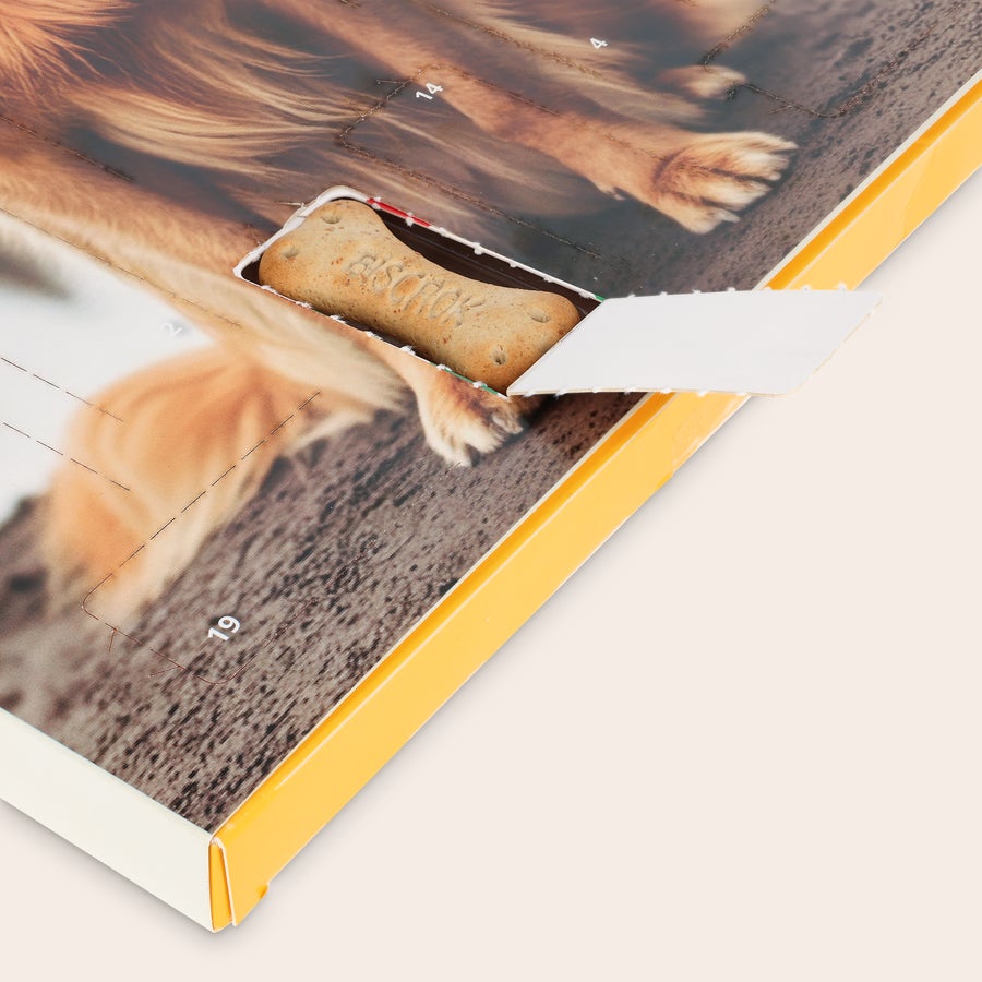 Calendario dell'avvento personalizzato per cani - Pedigree Calendario dell'avvento personalizzato per cani stampato con foto di un golden retriever e uno snack Biscrok