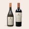 Wein Salentein Pinot Noir & Chardonnay Geschenkset Wein Salentein Pinot Noir & Chardonnay Geschenkset