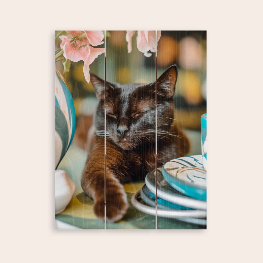 Tre bilde Fotoutskrift på treplanker med et bilde av en svart katt, trykt med whitewash-finish.