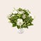 Witte bloemen boeket Witte bloemen boeket