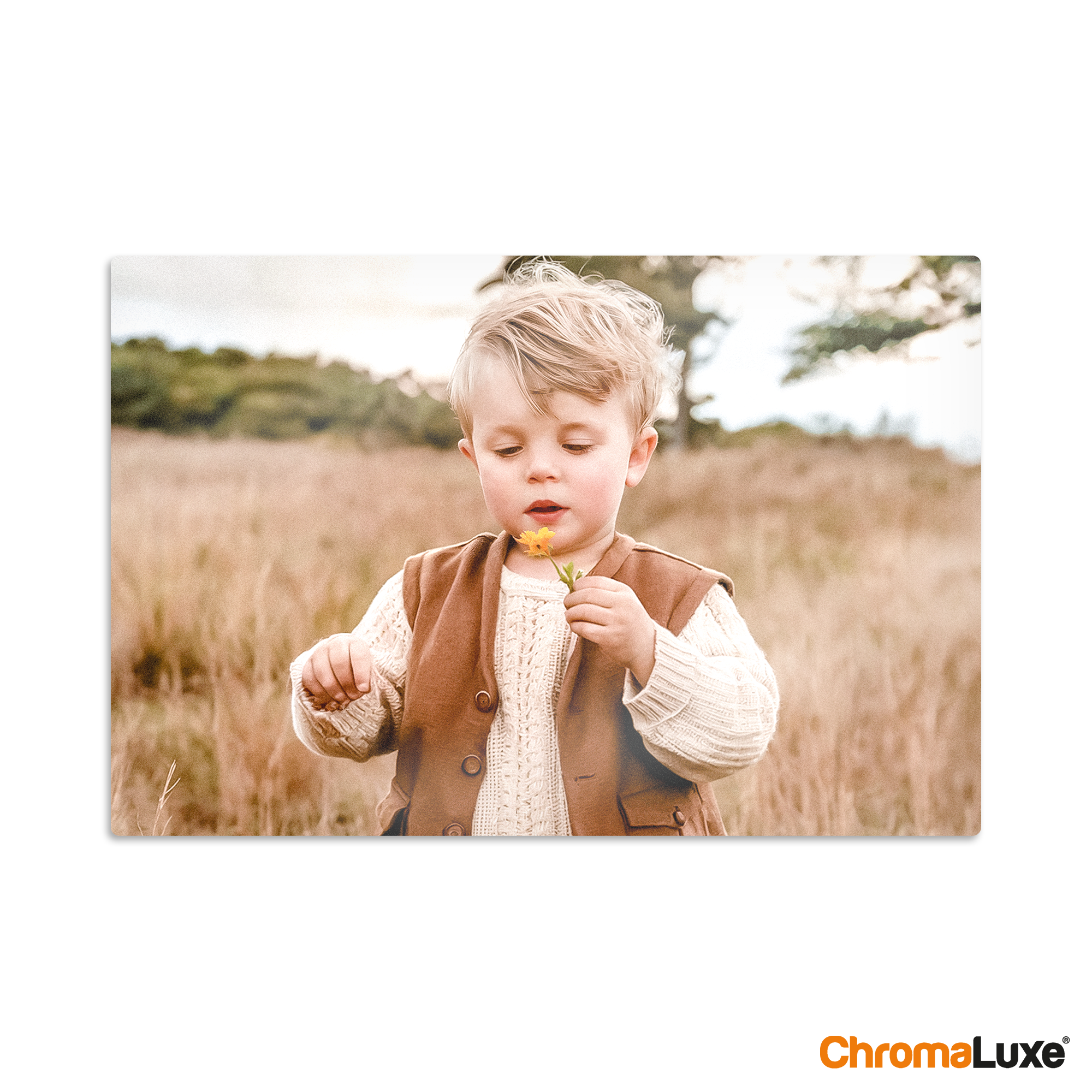 Personalized aluminium Instagram photo collage with a child in a field printed from your Instagram photos